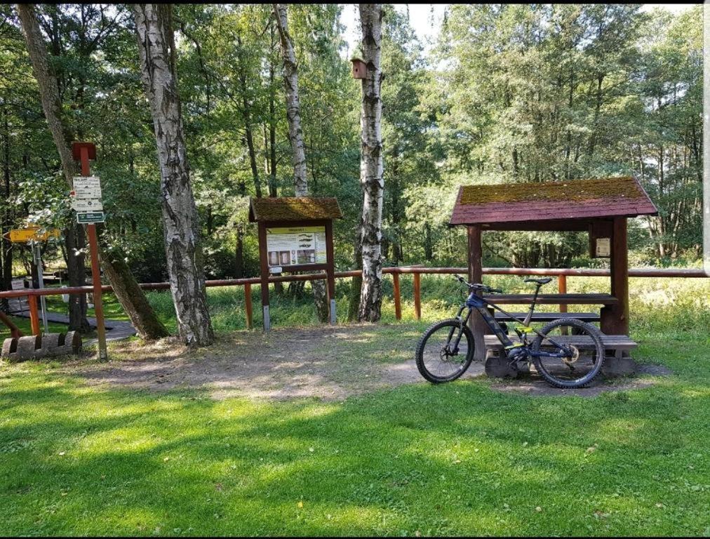Landgasthof Gruener Baum Regnitzlosau Екстер'єр фото